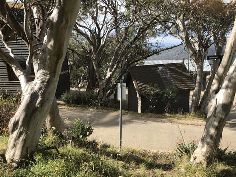 Beehive 18 - Australian Directory 1