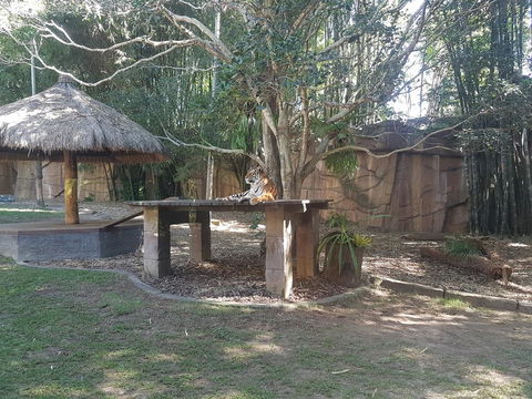 Beerwah House - Australian Directory 3