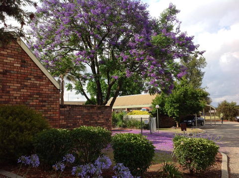 Belvoir Village Motel & Apartments Wodonga - Australian Directory 0