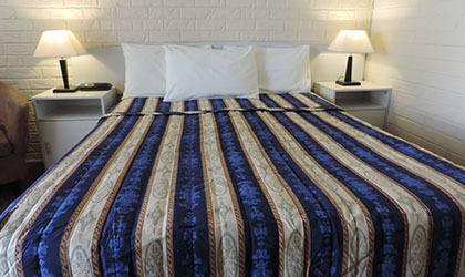 Bondi Motel - Australian Directory 0