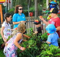 BIG4 Koala Shores Holiday Park - Australian Directory