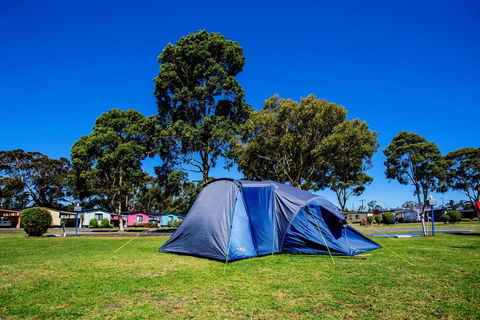 BIG4 Traralgon Park Lane Holiday Park - Australian Directory 2