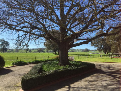 Birchwood Cottage - Australian Directory 1