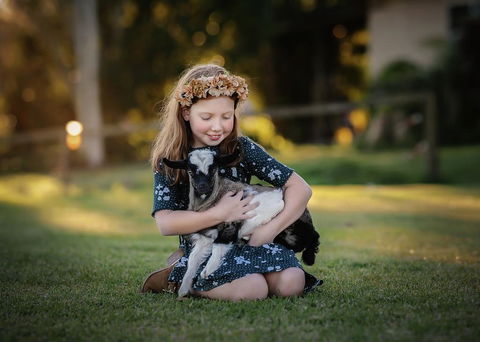 Blackwattle Farm - Australian Directory 1