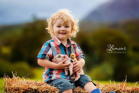Blackwattle Farm - Australian Directory 0