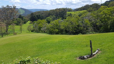 Blue Summit Cottages - Australian Directory 3