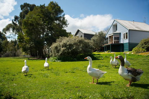 Boatshed Villa Green Door - Australian Directory 3