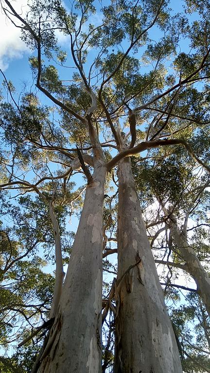 Broxholme B&B - Australian Directory 3