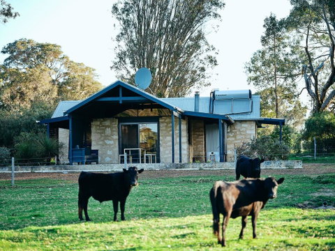 Burnside Organic Farm - Australian Directory 2