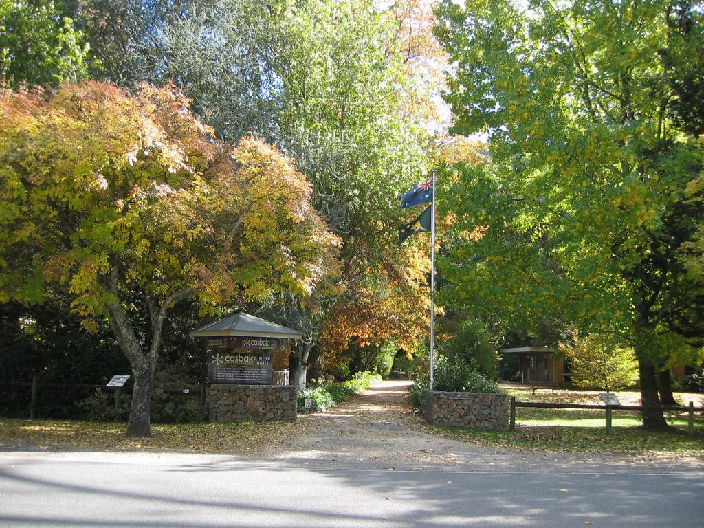  Australian Directory