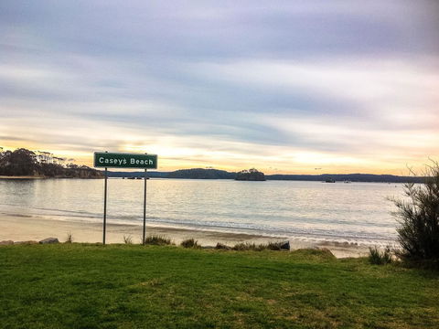 Caseys Beach Holiday Park - Australian Directory 0