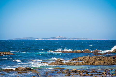 Cherrybush @ Mystery Bay - Australian Directory 3
