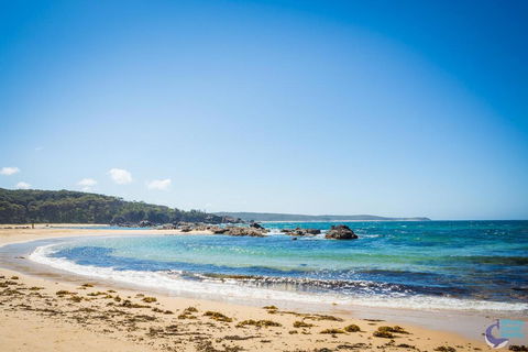 Cherrybush @ Mystery Bay - Australian Directory 1