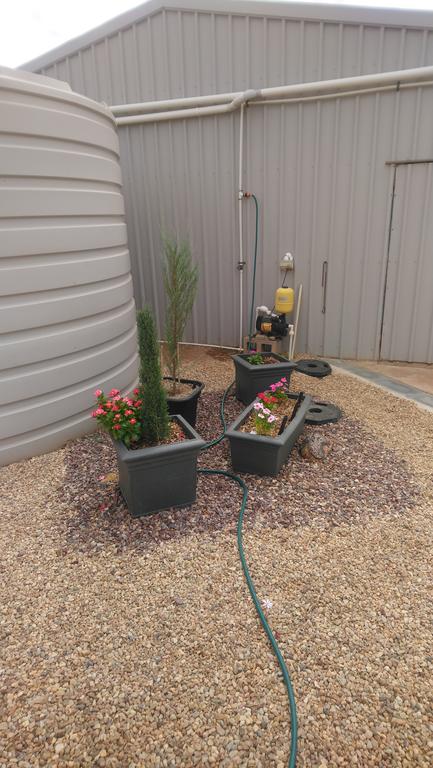 Chrissie's Dongara - Australian Directory 2