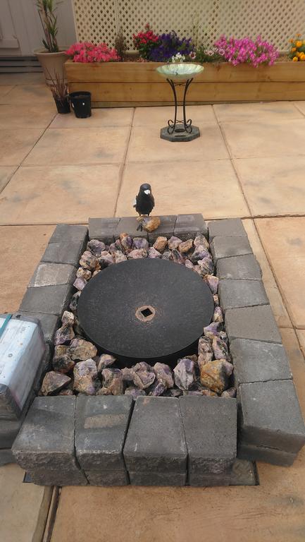 Chrissie's Dongara - Australian Directory 3