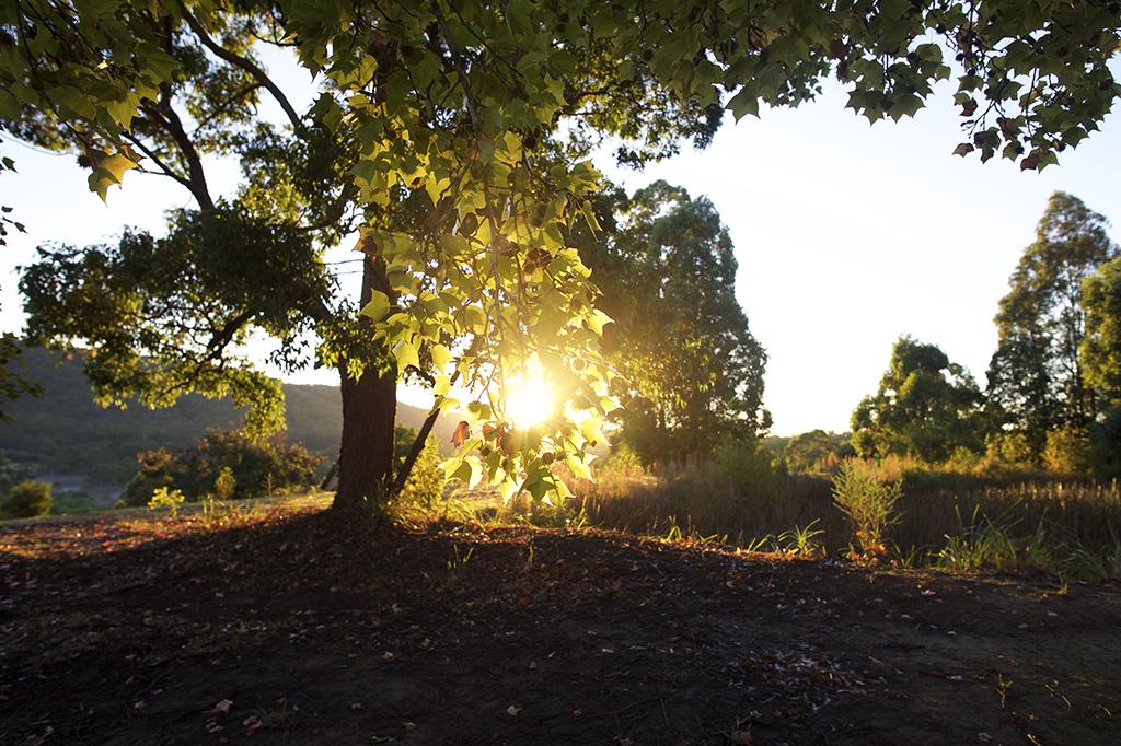 Lansdowne Forest ACT Australian Directory
