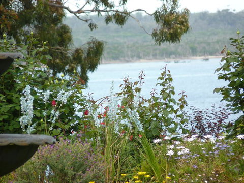 Clovelly Cottage - Australian Directory 3