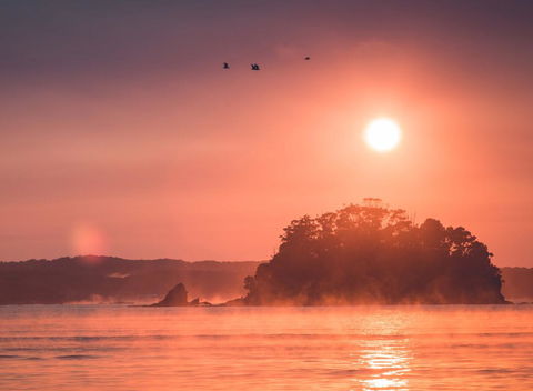 Clyde View Holiday Park - Australian Directory 1