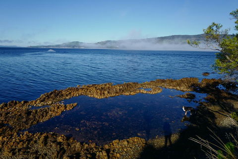 Coast House Tasmania - Australian Directory 2
