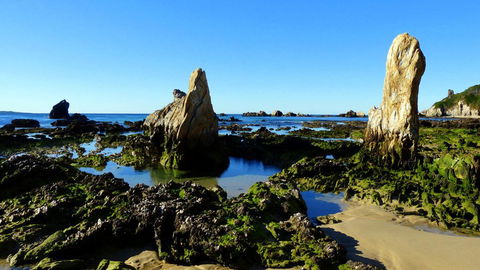 Coastal Comfort Motel - Australian Directory 3