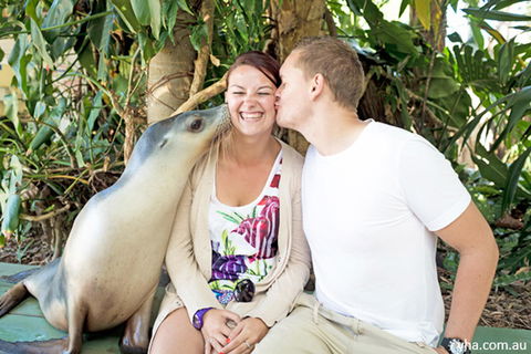 Coffs Harbour YHA - Australian Directory 2