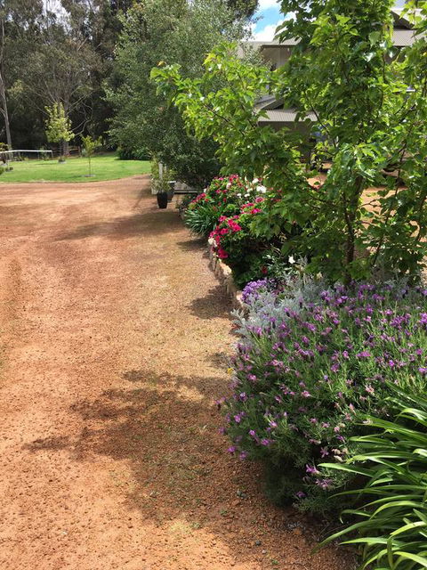 Coolajarra B&B - Australian Directory 2
