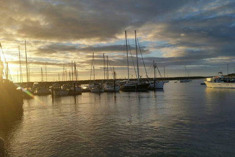 Cosy Cottage Valley Views - Australian Directory 3