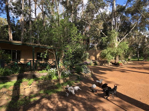 Country Cottages Of Bridgetown - Australian Directory 1