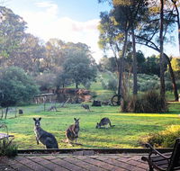 Countryside Retreat Spa Cottage Hepburn - Daylesford - Australian Directory
