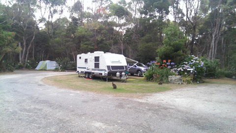 Crayfish Creek Van & Cabin Park - Australian Directory 0