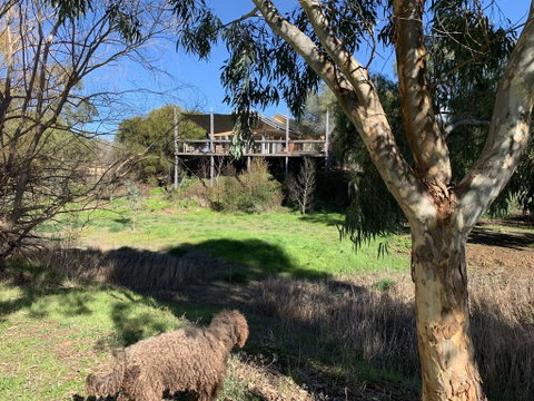 Cullen House - Australian Directory 1