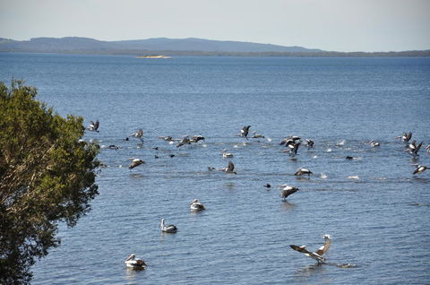 Denmark Waters B&B - Australian Directory 0