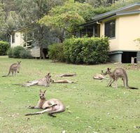 Depot Beach Cabins - Australian Directory