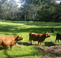 Dingley Dell - Australian Directory