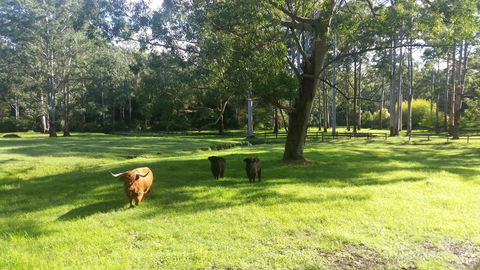 Dingley Dell - Australian Directory 3