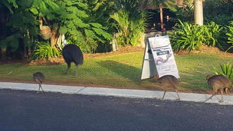 Driftwood Bed And Breakfast - Australian Directory 1