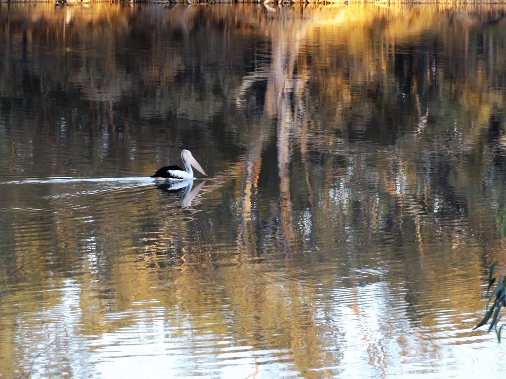  Australian Directory