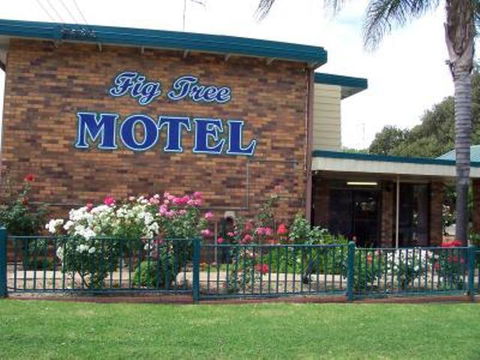 Fig Tree Motel - Australian Directory 1