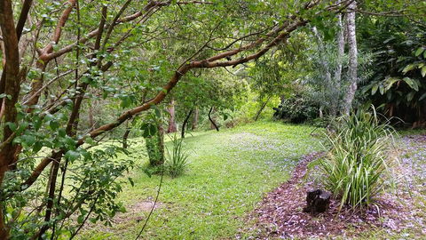 Forest View Bungalow - Australian Directory 1