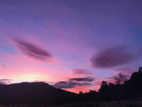 Forest Walks Lodge - Australian Directory 2