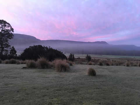 Forest Walks Lodge - Australian Directory 1