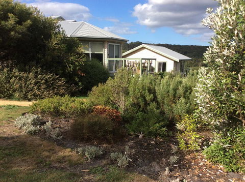 Forrest Willy Wagtail Studio - Australian Directory 0