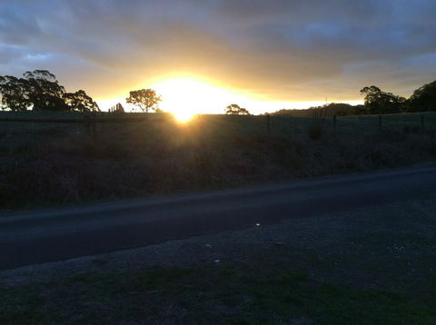 Forrest Willy Wagtail Studio - Australian Directory 1
