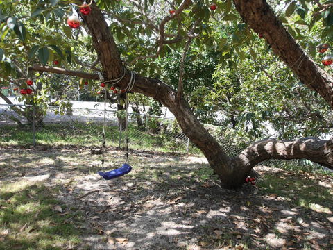 Frenchmans Folly - Australian Directory 2