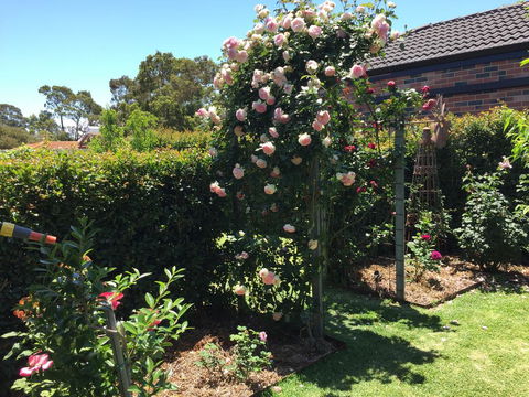 Garden Apartment - Australian Directory 3