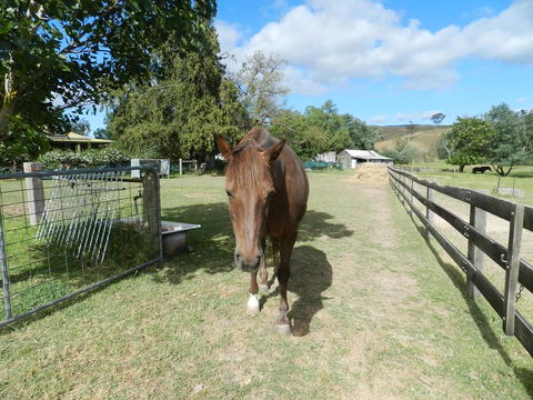 Glenfield Cottage - Australian Directory 1