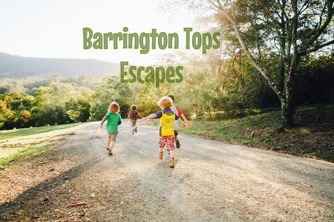 Grand View Holiday Home - Australian Directory 2