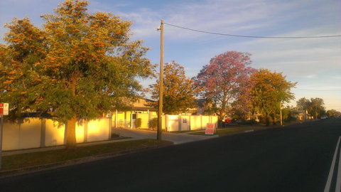 Gunnedah Lodge Motel - Australian Directory 1