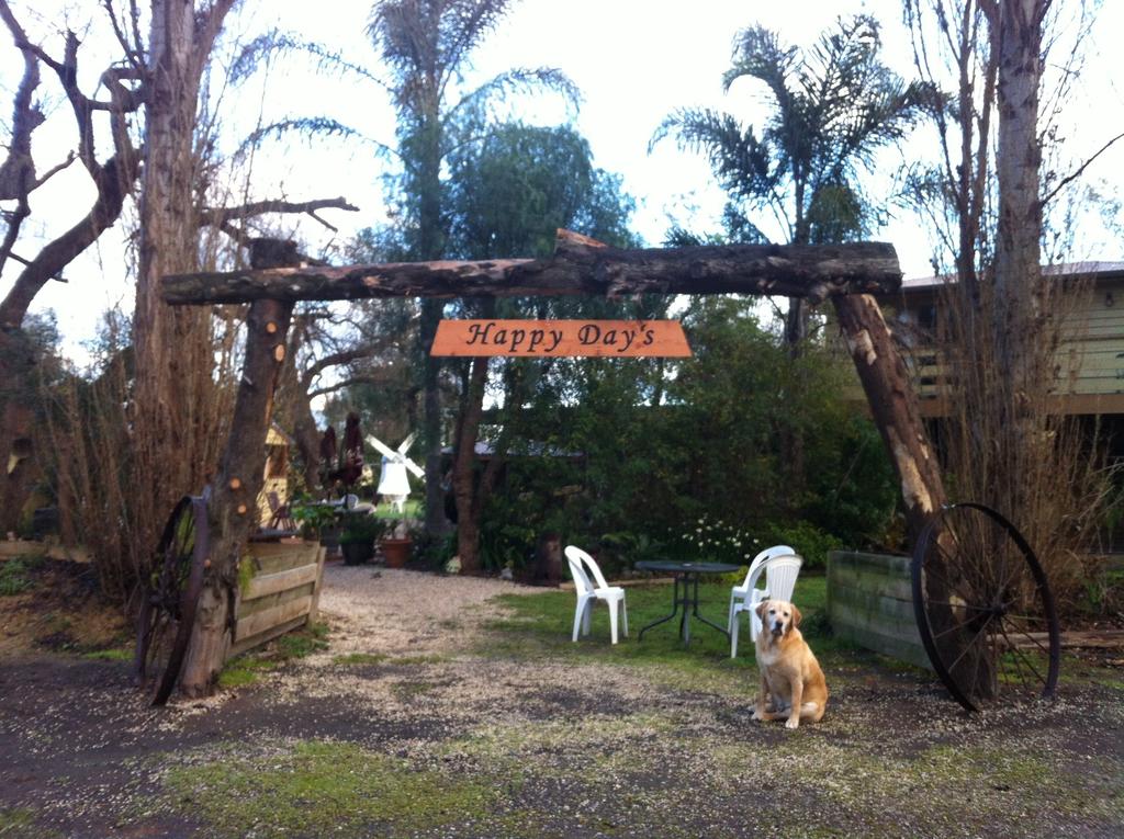  Australian Directory