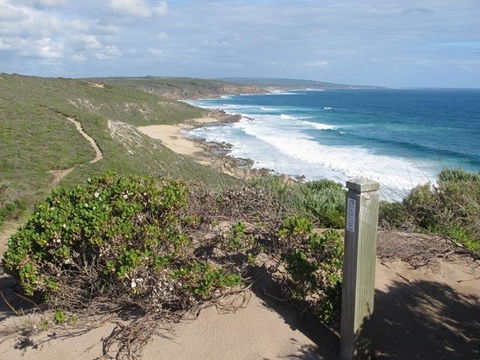 Hartzell One Seven - Australian Directory 0